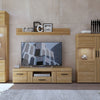 Axton Bronxwood 2 Door 1 Drawer Wide TV Cabinet in Grandson Oak