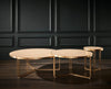 Gillmore Space Finn Large Circular Coffee Table Pale Oak Top & Brass Frame