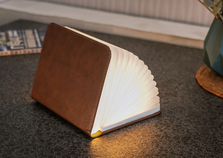 Ging-Ko Large Brown Leather Smart Book Light