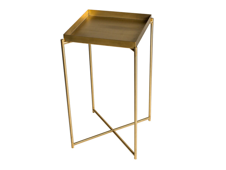 Gillmore Space Iris Square Plant Stand Brass Tray