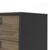 Axton Longwood Sideboard with 1 Door + 2 Drawers In Matt Black Walnut